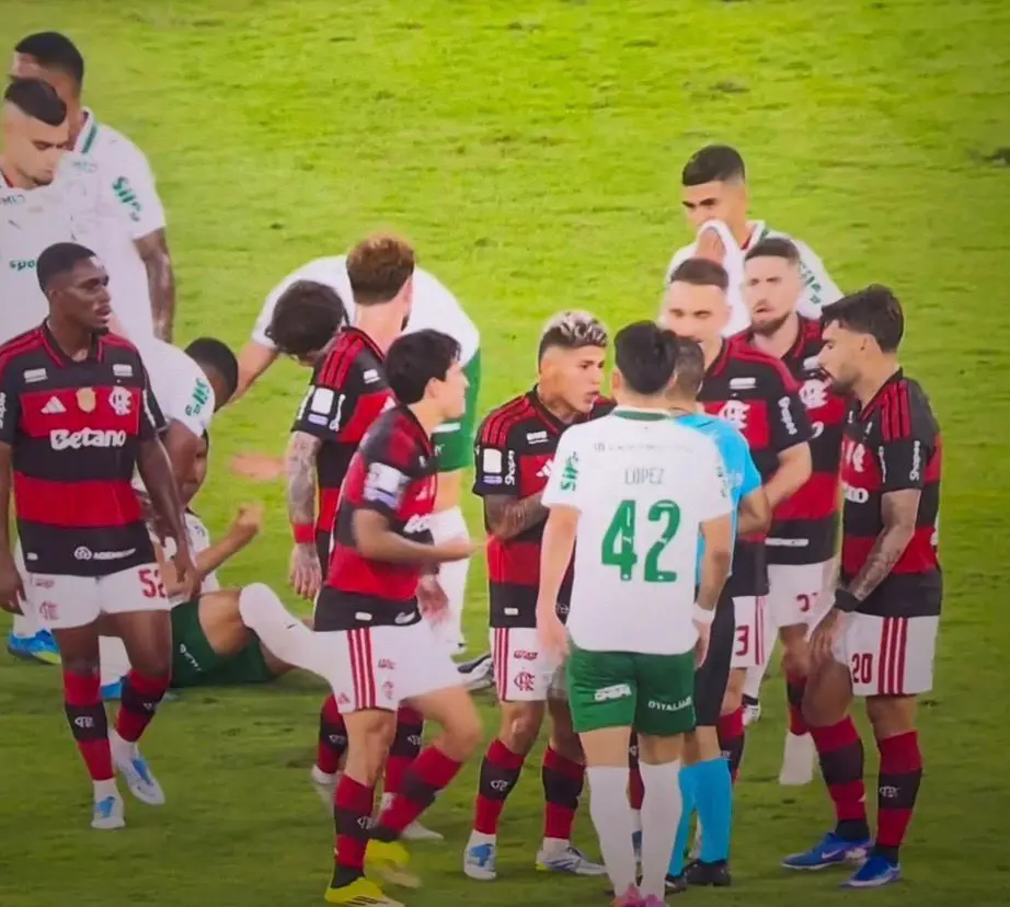 Palmeiras vence Flamengo por 3 a 0 no Maracanã e abre 7 pontos de vantagem